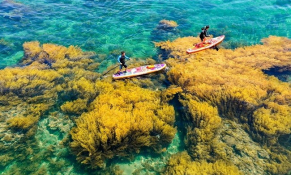 Thành phố bán đảo “đổi màu” du lịch Quy Nhơn