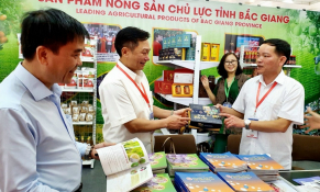 Bắc Giang ban hành quy chế quản lý và thực hiện Chương trình xúc tiến thương mại tỉnh
