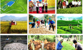 Chi hơn 196.000 tỷ đồng cho Chương trình mục tiêu quốc gia xây dựng nông thôn mới