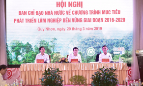 Đạt và vượt nhiều mục tiêu bảo vệ, phát triển rừng