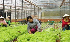 Góc khuất từ người nông dân
