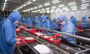 Thiếu lao động, hàng loạt doanh nghiệp thủy sản gặp khó khăn