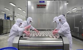 VASEP: Chỉ 30 – 40% doanh nghiệp thuỷ sản có khả năng phục hồi ngay sau giãn cách