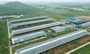 Vinamilk triển khai dự án “Năng lượng mặt trời” trên toàn hệ thống