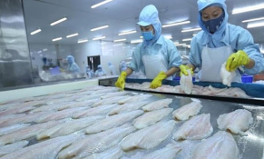 Doanh nghiệp thuỷ sản gặp khó khi đưa hàng vào siêu thị