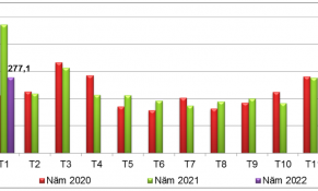 Tháng 1/2022, xuất khẩu sắn và các sản phẩm từ sắn giảm mạnh so với cùng kỳ năm trước