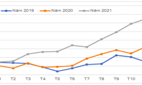 Tháng 12/2021: Giá cà phê xuất khẩu tiếp tục tăng mạnh