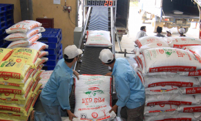 Thị trường thức ăn chăn nuôi bấp bênh vì phụ thuộc nhập khẩu