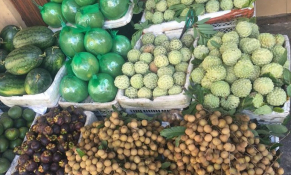 Thúc đẩy XK hoa quả chính ngạch từ doanh nghiệp