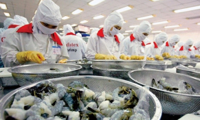 Tình hình xuất khẩu tôm những tháng đầu năm