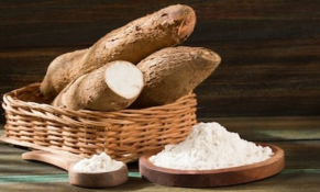 Trung Quốc giảm nhập khẩu sắn và các sản phẩm từ sắn của Việt Nam