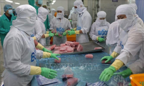 Hiệp định EVFTA: Cơ hội lớn cho ngành chế biến cá ngừ