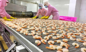 Xuất khẩu tôm 6 tháng đầu năm vẫn tăng 5,7%