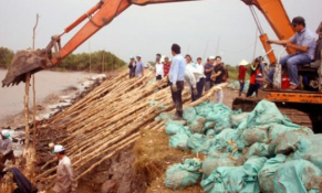 Cà Mau “gồng mình” ứng phó sạt lở ven biển