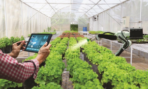 Đài Loan muốn xây dựng Khu công nghệ nông nghiệp xanh – thông minh tại Thanh Hóa