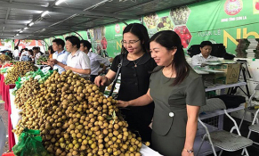 Đón cơ hội xuất khẩu sang Australia