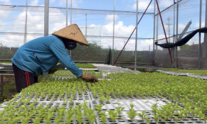 Gia Lai: Phấn đấu đến năm 2025 cơ cấu dịch vụ chiếm 35% – 36% trong GRDP tỉnh