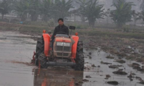 Hà Nội chuyển đổi hiệu quả 40.000ha đất nông nghiệp