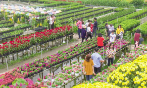 Đồng Tháp phát triển sản phẩm du lịch trọng điểm