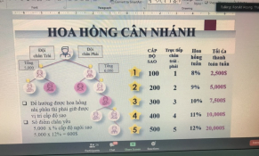 Cảnh báo hoạt động kinh doanh đa cấp thông qua ứng dụng Limbic Arc