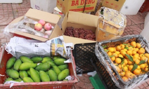 Cục QLTT Sơn La phát hiện 2,3 tấn hoa quả tươi không rõ nguồn gốc xuất xứ