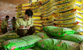 Gia Lai: Bắt quả tang cơ sở bày bán hơn 3,6 tấn phân bón đã hết hạn sử dụng