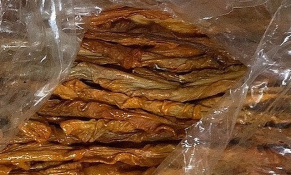 Quảng Ninh: Bắt giữ nửa tấn lòng lợn sấy khô không nguồn gốc