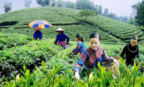 12% dân số trên toàn thế giới là những thành viên của hợp tác xã