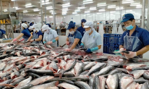 Hiệp hội Chế biến và Xuất khẩu (VASEP) chỉ ra những thị trường tiềm năng trong xuất khẩu thủy sản