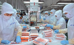 VASEP: ​​Doanh nghiệp thuỷ sản nhiều tỉnh không được hỗ trợ tiền điện đợt 5