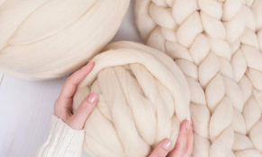 Doanh nghiệp Na Uy cần hợp tác với doanh nghiệp Việt chuyên gia công đồ lót từ len Merino