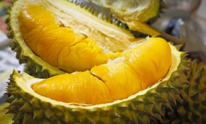 Doanh nghiệp Osaka cần tìm nhà cung cấp sầu riêng Việt Nam