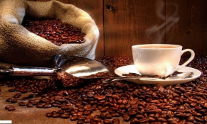 Doanh nghiệp Thụy Điển cần mua cà phê Robusta Việt Nam