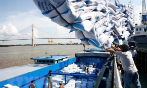 Việt Nam trúng thầu xuất khẩu 60.000 tấn gạo sang Philippines