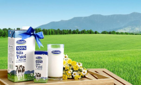 Vinamilk xuất khẩu 10 container sữa hạt cao cấp sang Trung Quốc