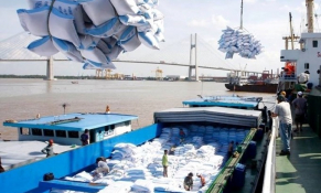 205 Doanh nghiệp đủ điều kiện kinh doanh xuất khẩu gạo