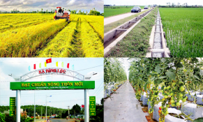 8 điều kiện để tỉnh, thành phố trực thuộc trung ương hoàn thành xây dựng nông thôn mới