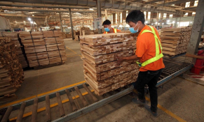 Bộ NN&PTNT trực tiếp tham gia tháo gỡ khó khăn cho ngành gỗ