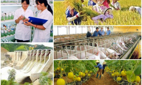 Cá nhân sản xuất nông nghiệp thuộc diện hộ nghèo, hộ cận nghèo sẽ được hỗ trợ tối đa 90% phí bảo hiểm nông nghiệp