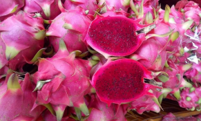 Đảm bảo dư lượng hóa chất nông nghiệp để hàng rau quả Việt tiến sâu vào các thị trường lớn