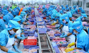 Ngành thủy sản găp khó khăn trong việc xuất khẩu cá tra