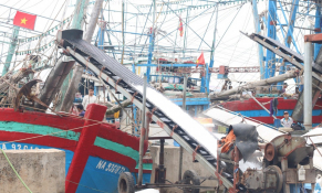 Nghệ An: Tổng sản lượng khai thác hải sản tăng 9,39% trong 5 tháng đầu năm