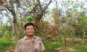 Nông nghiệp hữu cơ – giải pháp bền vững cho cây trồng và biến đổi khí hậu