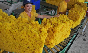 Phần lớn chủng loại cao su xuất khẩu ghi nhận đều tăng