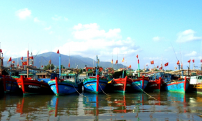 Quảng Bình hỗ trợ hơn 50 tỷ đồng cho các nghiệp đoàn, hộ gia đình có tàu cá tham gia khai thác hải sản trên các vùng biển xa