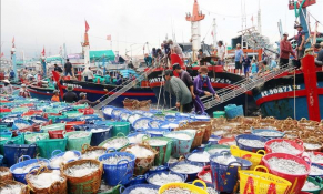 Tháng 5/2021, sản lượng nuôi trồng thủy sản của Bà Rịa-Vũng Tàu đạt 1.553 tấn