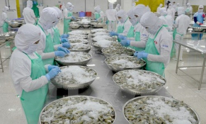 Tháng 9/2021: Xuất khẩu tôm giảm tháng thứ 2 liên tiếp do tác động của dịch Covid-19