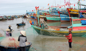 Thủy sản Việt Nam sẽ mất khoảng 480 triệu USD ở thị trường EU nếu khai thác IUU