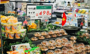 Tiêu thụ vải Bắc Giang góp phần thúc đẩy tăng trưởng xuất khẩu hàng rau quả