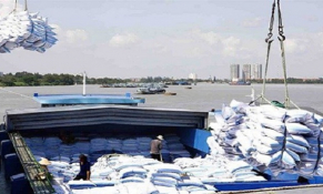 Tìm giải pháp tháo gỡ khó khăn trong xuất khẩu gạo